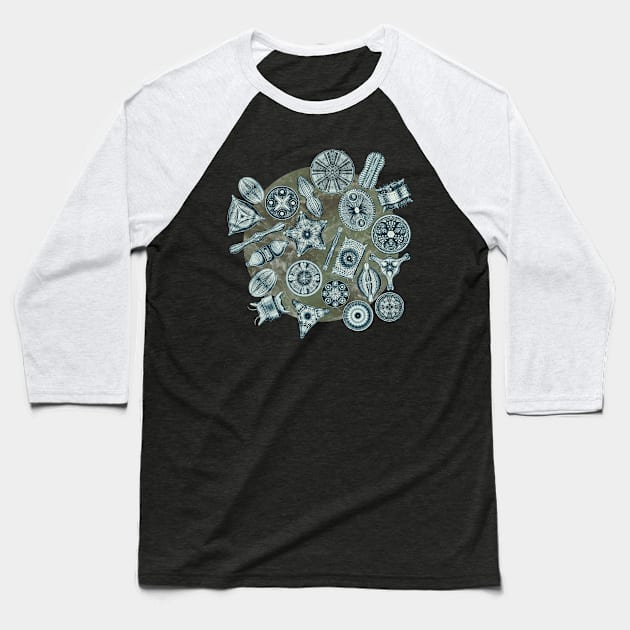 Ernst Haeckel Cerulean Diatoms on Mossy  Water Baseball T-Shirt by Scientistudio